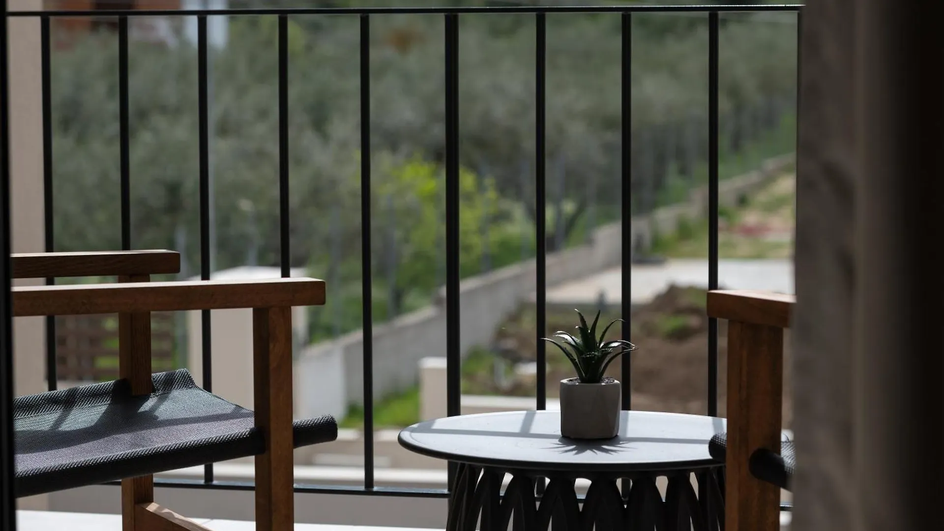 Apartment Olivera Suites Sarti Greece
